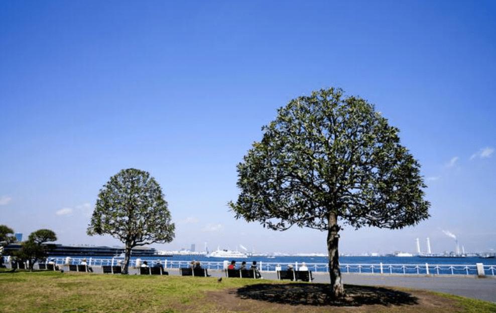 山下公園位於橫濱市中區，是當地著名旅遊熱點，鄰近中華街與橫濱港，每日吸引大量遊客。Alamy