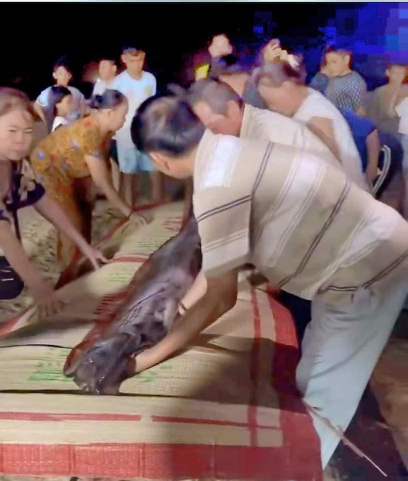 当地民众按传统习俗进行鱼葬仪式。 facebook