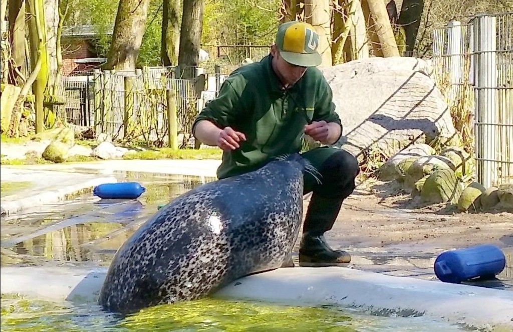 動物園陷入財困。網上圖片