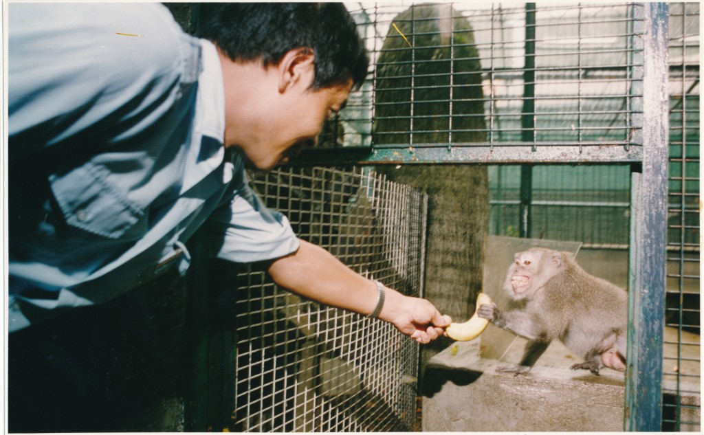 荔園動物園餵養不少野生動物。