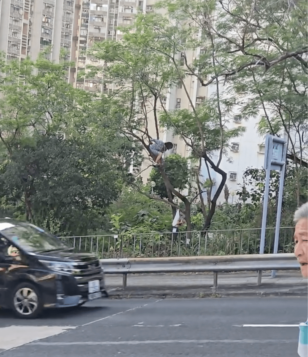 女子疑想返回地面時,陷進退兩難。Facebook 香港交通及突發事故報料區 影片截圖 女子疑想返回地面時,陷進退兩難。Facebook 香港交通及突發事故報料區 影片截圖