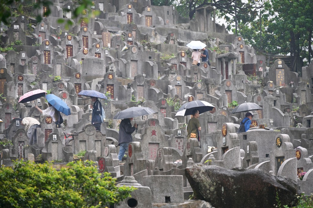 今年掃墓的人流明顯較往年為少。 今年掃墓的人流明顯較往年為少。