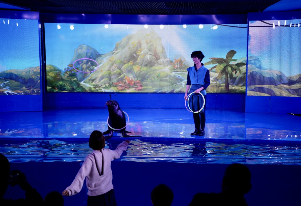海狮剧场结合海狮表演及3D多媒体，海狮跟随跳跃、拍手及与观众互动，相当精彩！
