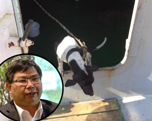 漁護署署長梁肇輝(小圖)表示，署方正檢討泰國來港小狗被人道毀滅事件的做法。  資料圖片