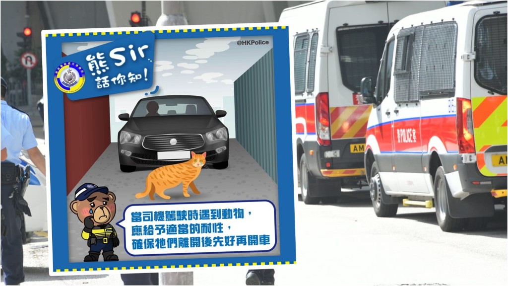 警方提醒如駕駛時撞倒貓狗記得停車及報警。資料圖片(小圖為fb「香港警察」圖片)