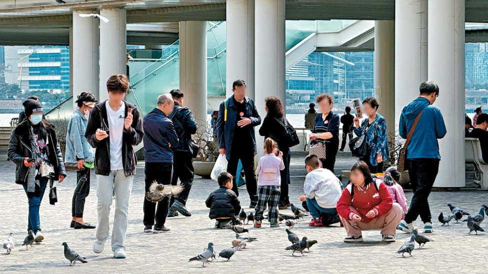 非法餵飼野鴿︱政府：至今發289張定額罰款通知書 野鴿聚集情況已有改善