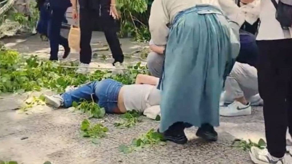 河南開封武俠主題樂園發生樹斷砸倒多名遊客。