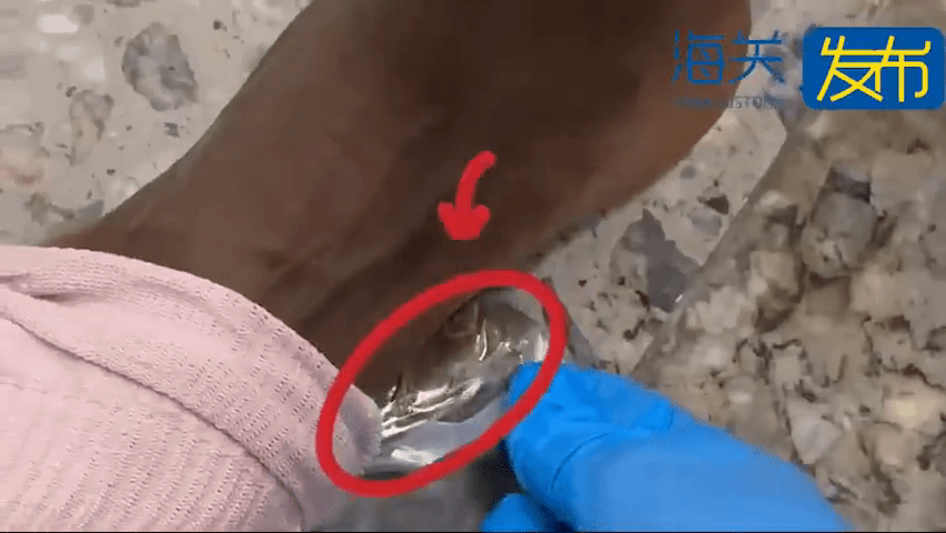 男旅客襪子內藏有大麻。