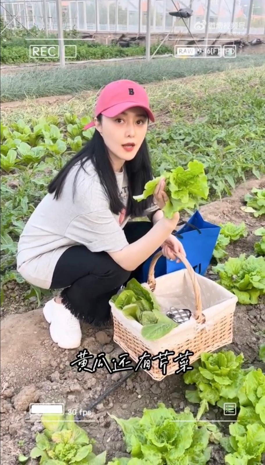 冰冰又分享去年和朋友們一起去新疆圖木舒克做慈善活動嘅感受。