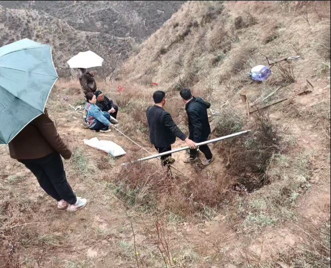 黄牛跌落深坑4日仍未能救出，最终死在洞内。抖音