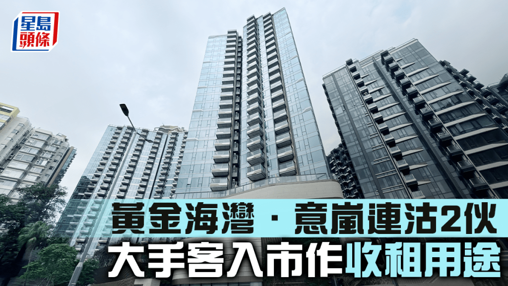 黄金海湾．意岚连沽2伙 大手客入市作收租用途