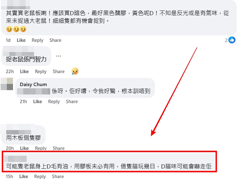 facebook截圖(資料來源:Daisy Chum@facebook香港滅蟲關注組) facebook截圖(資料來源:Daisy Chum@facebook香港滅蟲關注組)