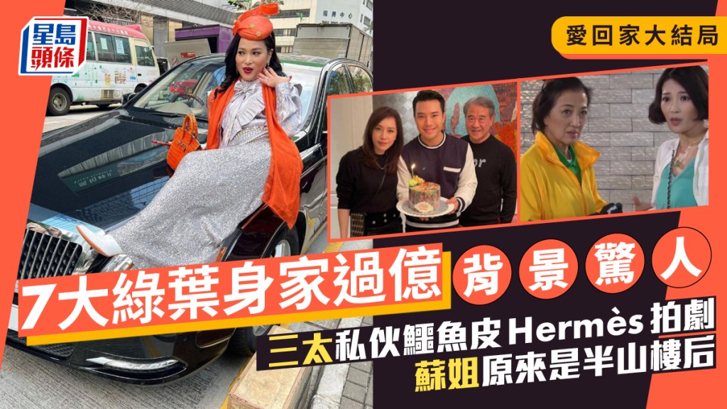 愛回家大結局｜7大綠葉身家過億背景驚人 三太私伙鱷魚皮Hermès拍劇 蘇姐原來是半山樓后