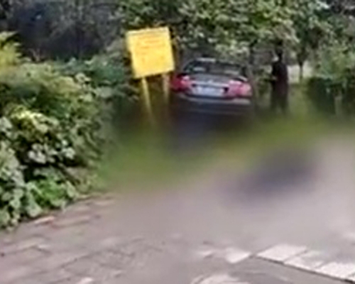 現場有多人被撞後倒臥在馬路及草叢，私家車撞向草叢中。（網圖）