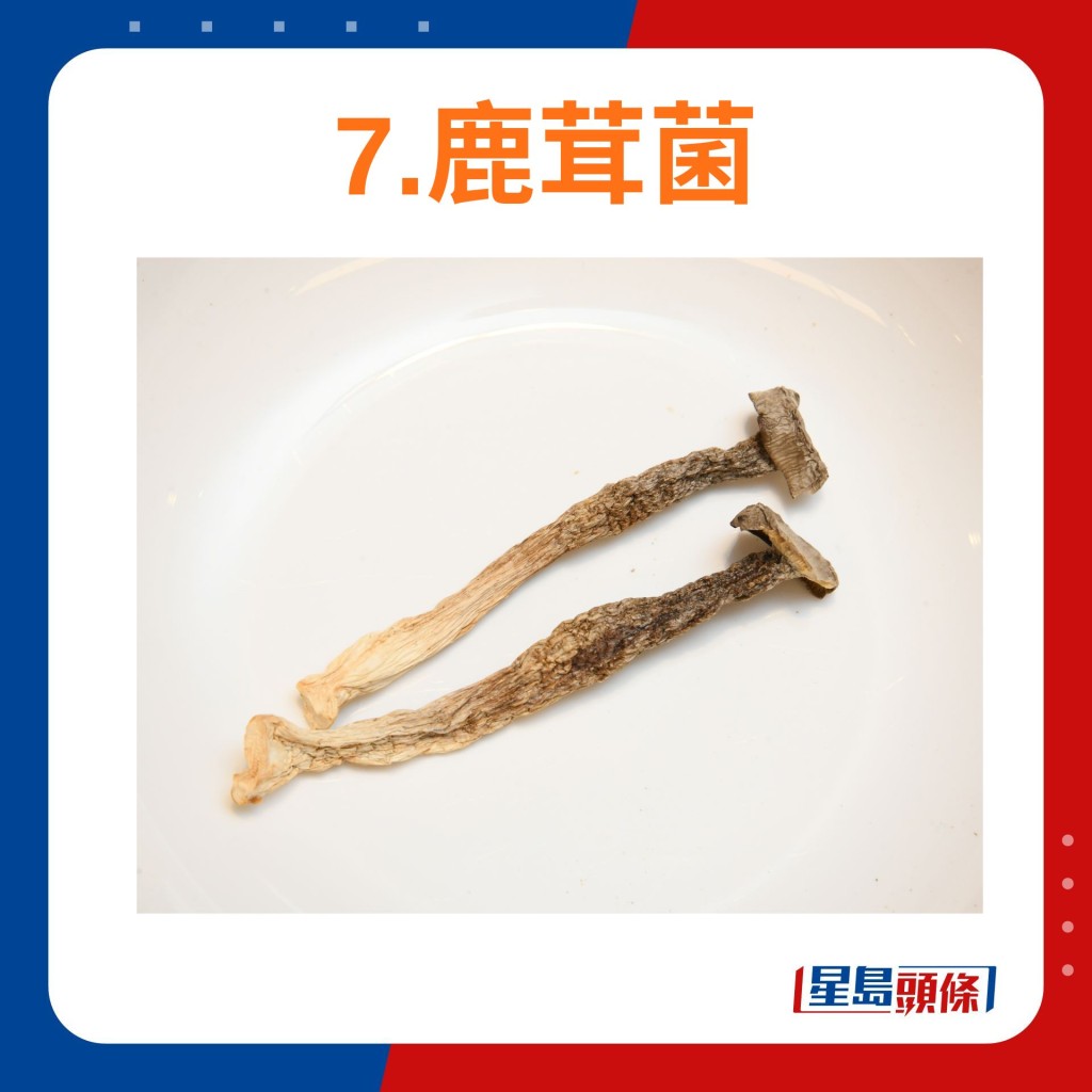 7.鹿茸菌