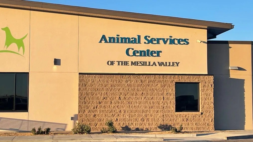 找到狗女的動物服務中心。網上圖片