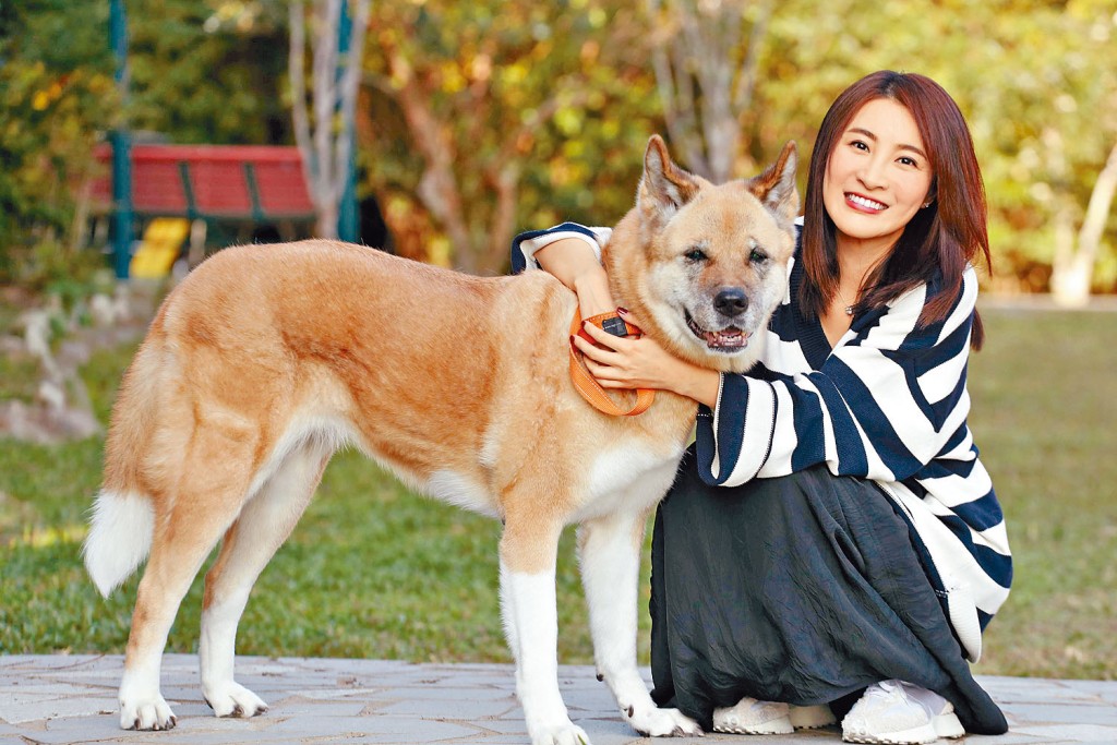 ■為《逆》劇宣傳期間,愛犬「金豬」卻被發現有腫瘤,令林夏薇心情矛盾。