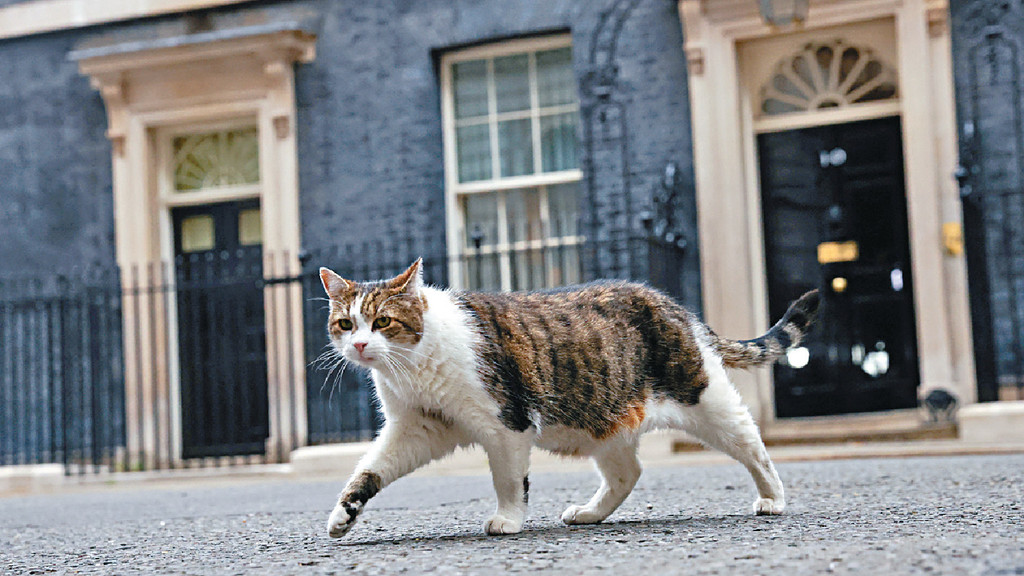 拉里猫将与第4任首相「共事」。路透社资料图片