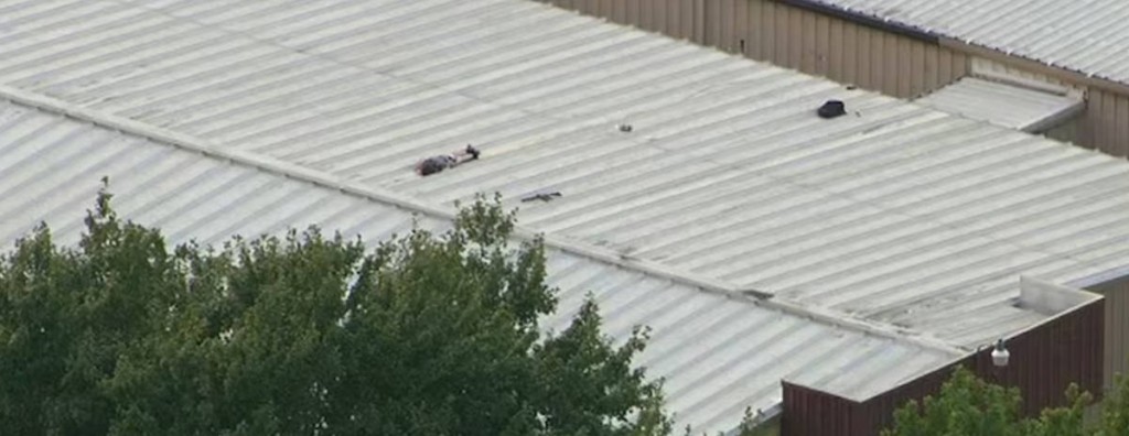 枪手陈尸屋顶，身边有一把AR-15步枪。