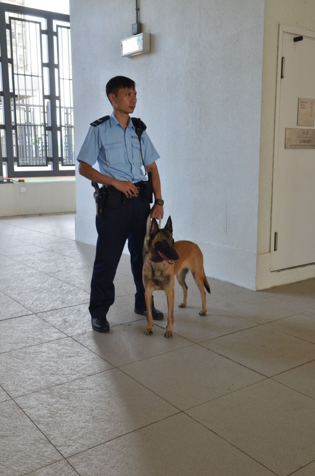 警犬出動協助搜捕疑犯