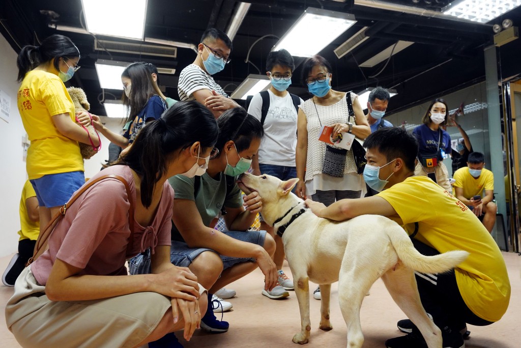 「阿棍屋」不時會舉辦領養犬隻的活動。