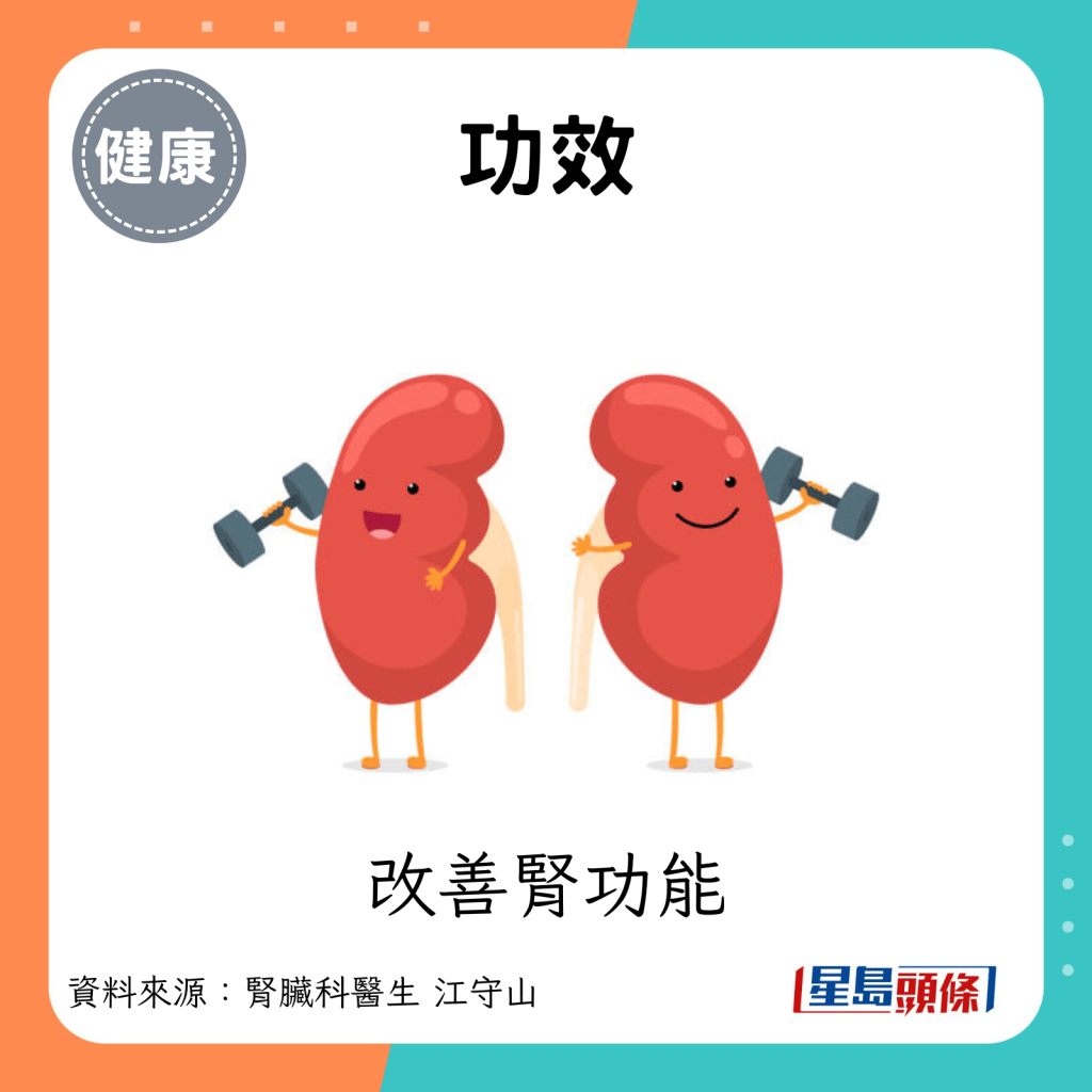 功效：改善腎功能