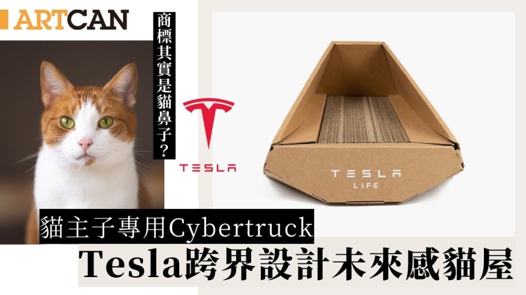 Tesla貓窩｜貓咪專用Cybertruck紙板貓窩登場！傳Tesla商標靈感源自貓鼻子？