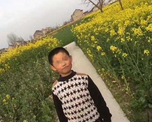 9歲男童航航。 網上圖片
