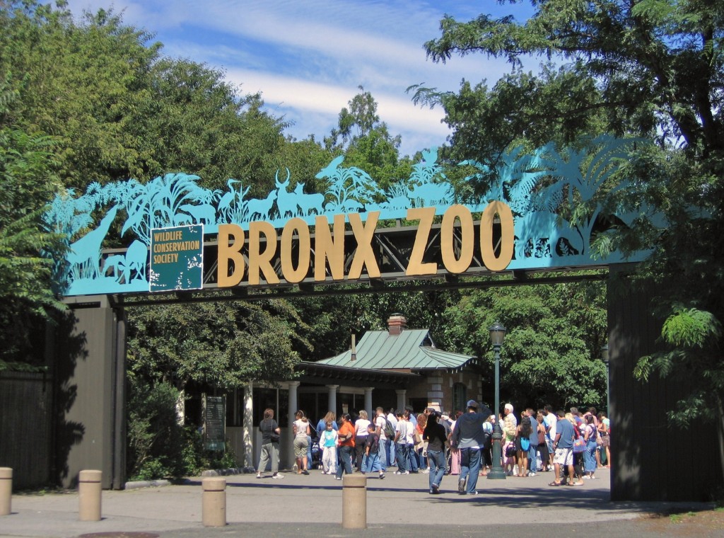 紐約布朗克斯動物園。Bronx Zoo官網