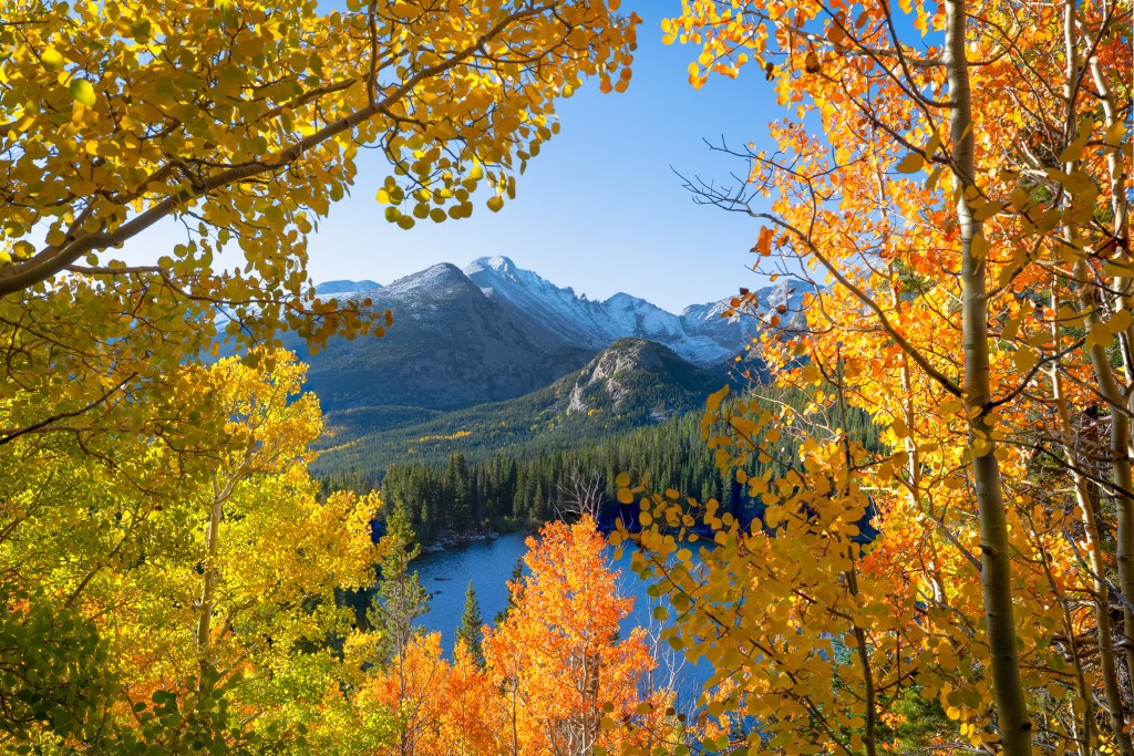 事发于洛矶山国家公园东入口附近。洛矶山国家公园官网