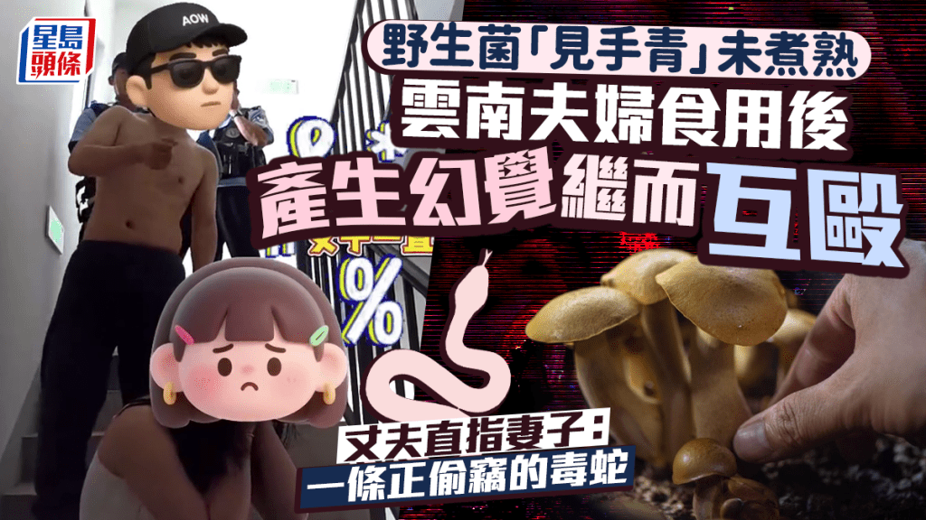 毒菇「見手青」｜雲南漢食後現幻覺老婆變「大蛇」 後樓梯發狂扭打｜有片
