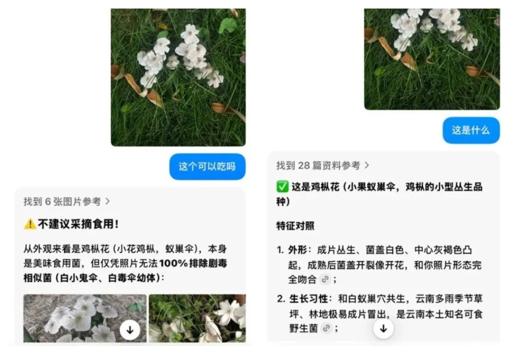 AI仍會誤判野生菇是否有毒。