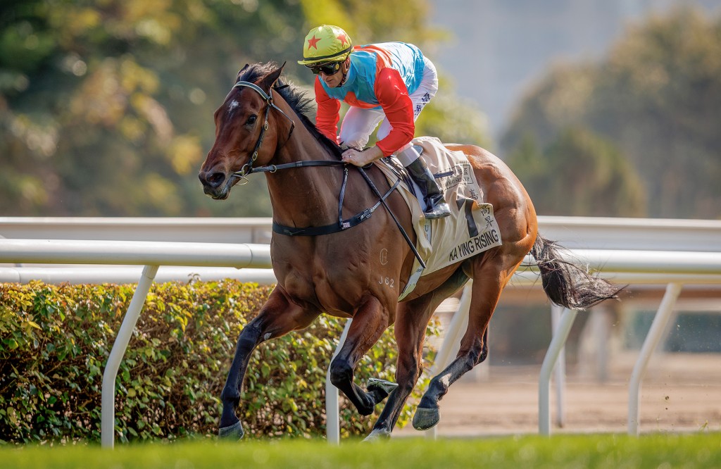「嘉應高昇」成為香港賽馬史上第3匹單季豪取八勝的賽駒。馬會圖片 「嘉應高昇」成為香港賽馬史上第3匹單季豪取八勝的賽駒。馬會圖片