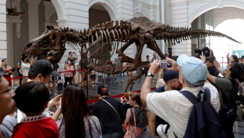 該暴龍骨化石早前在新加坡展覽，原定 11月在港拍賣。資料圖片