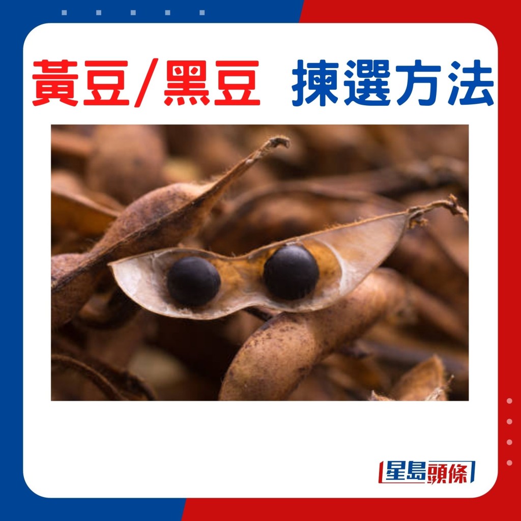 揀黃豆及黑豆 選顆粒完整