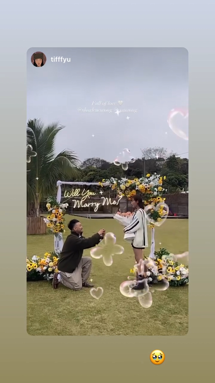 王虹茵獲男友跪地求婚！
