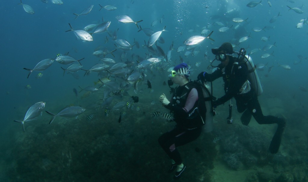 三亞是世界接待量最大潛水基地之一。 新華社