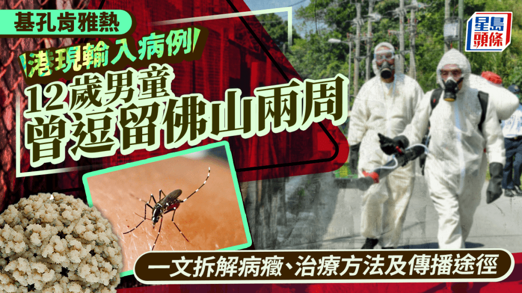 基孔肯雅熱｜香港發現懷疑首宗輸入個案 拆解病徵/治療方法/傳播途徑
