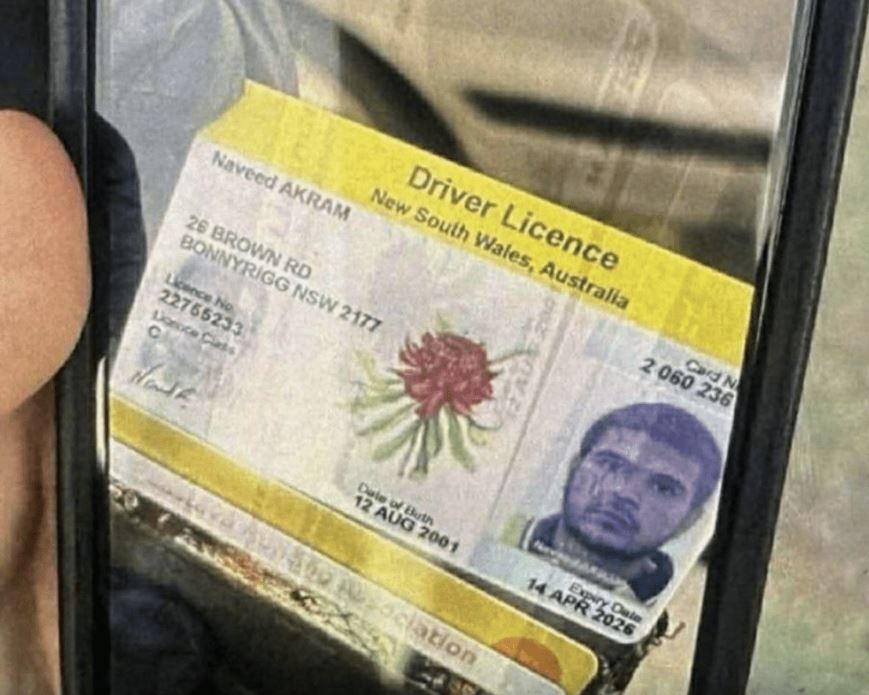 網傳納維德的駕駛執照。X@choga_don 