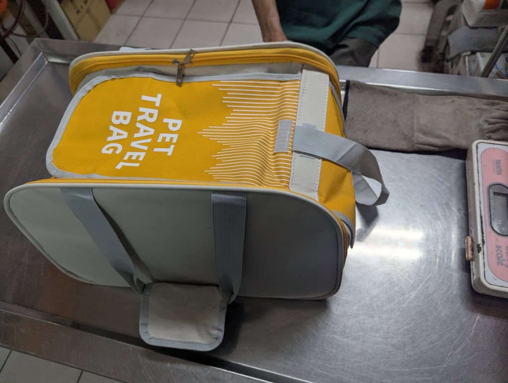 林男指未來會用外帶包,才帶蟒蛇出街。Threads 林男指未來會用外帶包,才帶蟒蛇出街。Threads