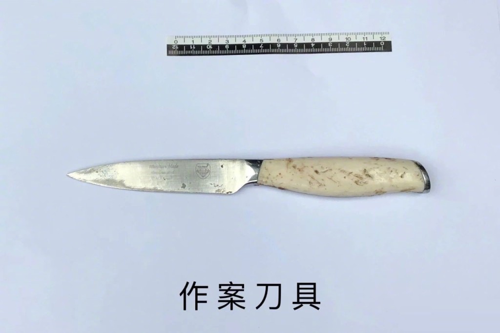 涉案刀具。網上圖片