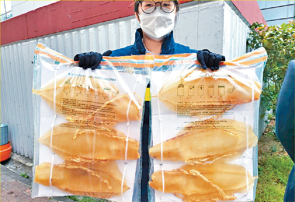 ■海关去年截获一批报称衣服、实质内藏1.15公斤的花胶。
