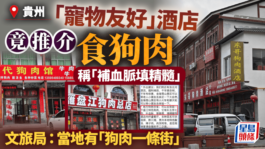 遊客訂貴州「寵物友好」酒店即收狗肉推介  縣文旅局：當地有「狗肉一條街」