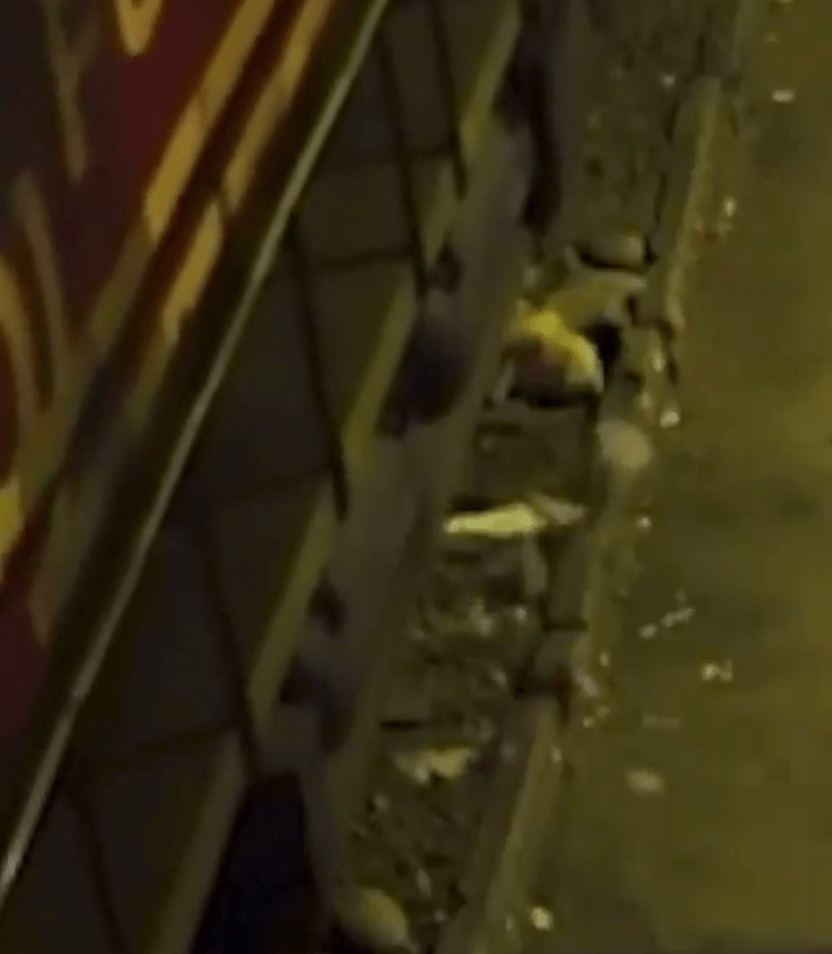胡安的身體被火車擦撞到，整個人跟著車輛在路軌上翻了一圈。社交平台影片截圖 / International Agency for Journalism AIJES  @aijesinfo