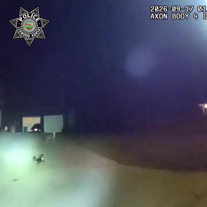 醒目汪星人深夜狂吠拦警车,引警员回家救跌倒受困3小时主人。 醒目汪星人深夜狂吠拦警车,引警员回家救跌倒受困3小时主人。