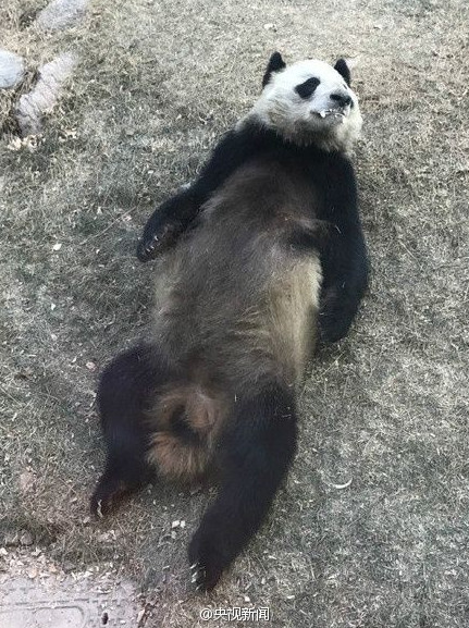 由網友「征戰」要求交代。