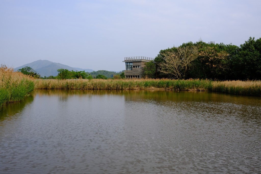 小朋友可於3層觀鳥屋的最高層眺望濕地公園及附近環境的景致。（圖片來源：《親子王》）