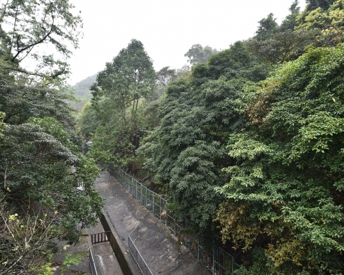 目前陸續進行改劃的210幅土地中,約三成涉及「綠化地帶」。
