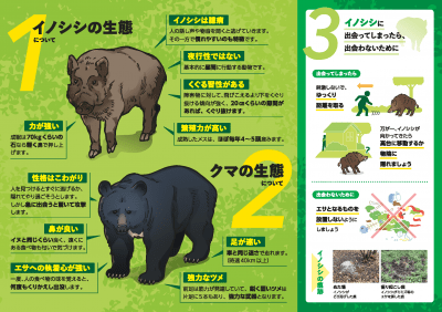 福島縣發出熊出沒警示圖。福島縣官網