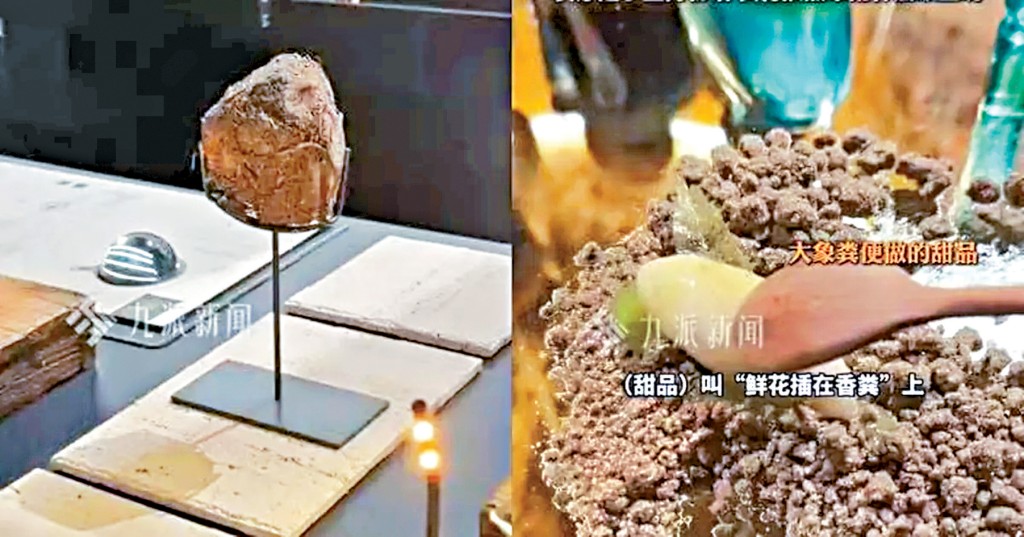 大象糞便做的甜品售價昂貴。